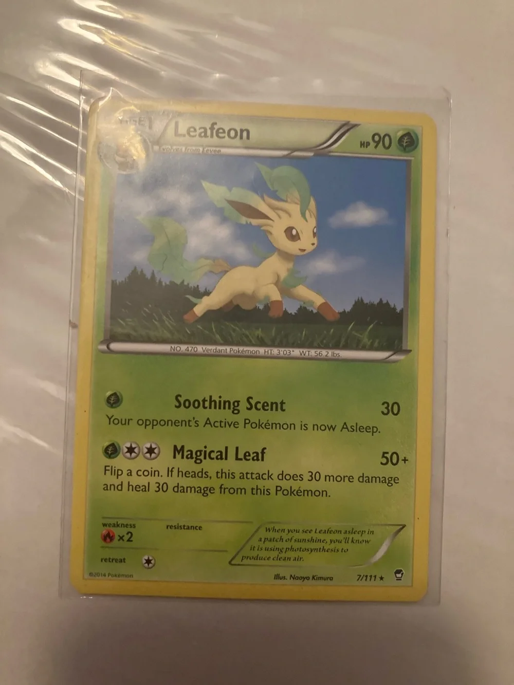 2014!!! Leafeon Trading Card - Green, Yellow, Blue